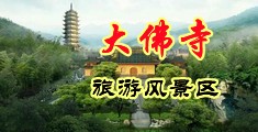 ）女生差扣逼免费网站中国浙江-新昌大佛寺旅游风景区